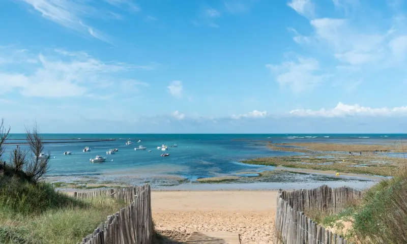 Vue du programme à Saint Georges D'oléron