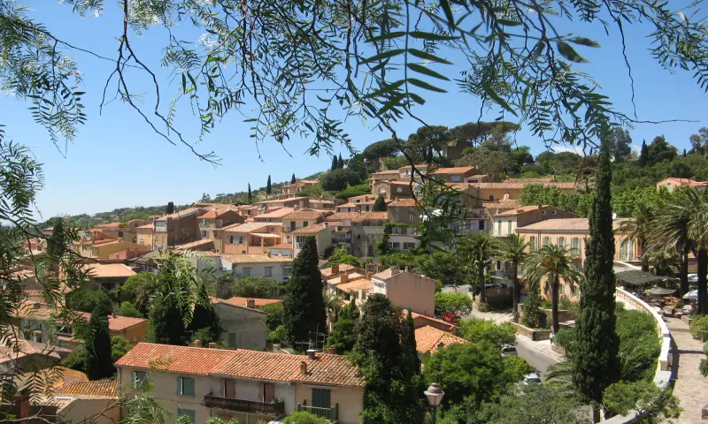 Vue du programme à Bormes Les Mimosas
