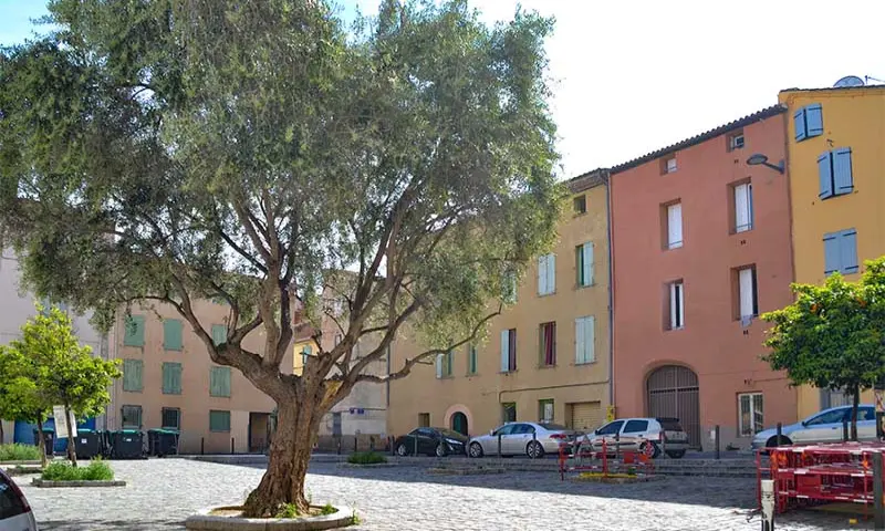 Vue du programme à Perpignan
