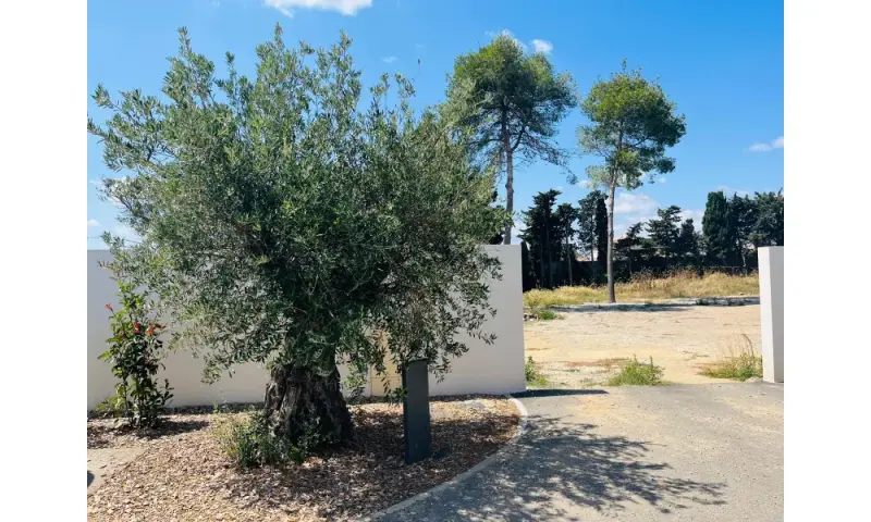 Vue du programme à Perpignan