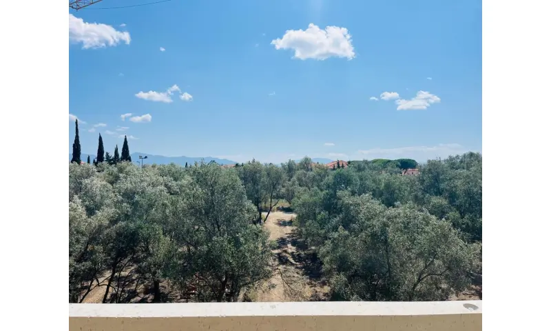 Vue du programme à Perpignan