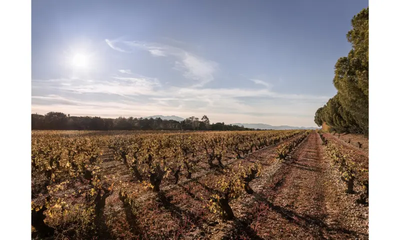 Vue du programme à Perpignan