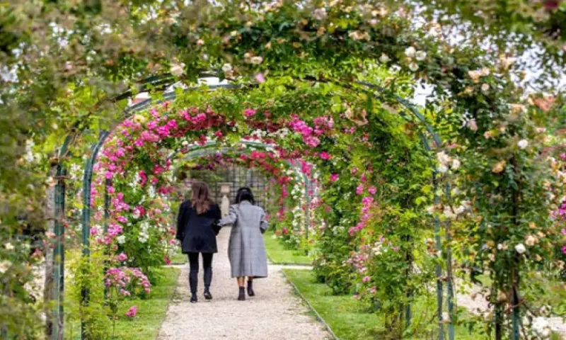 Vue du programme à L'haÿ Les Roses