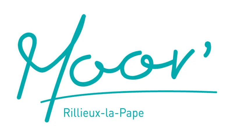 Vue du programme à Rillieux La Pape