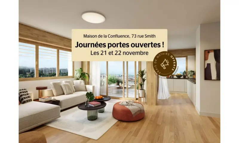 Vue du programme à Lyon 2eme Arrondissement