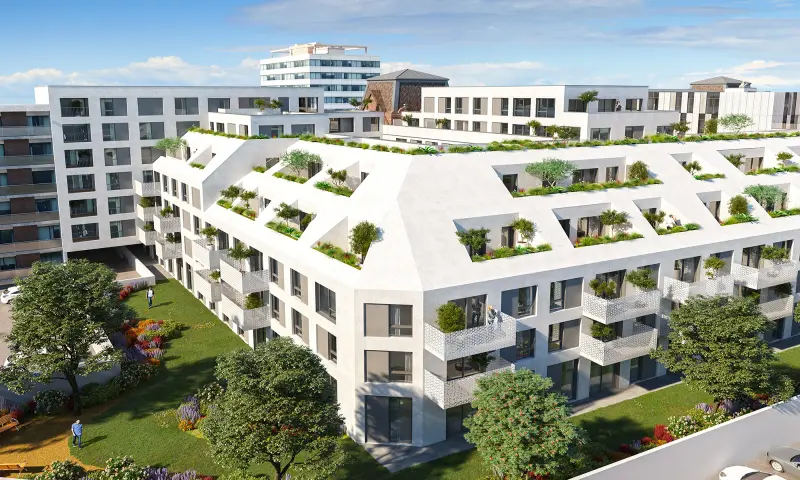 Vue du programme à Lille
