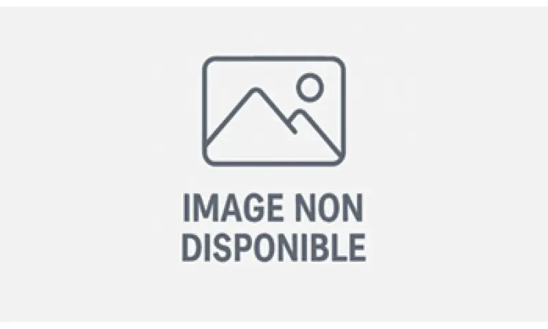 Vue du programme à Lorient
