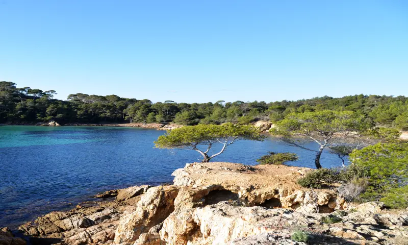 Vue du programme à La Londe Les Maures