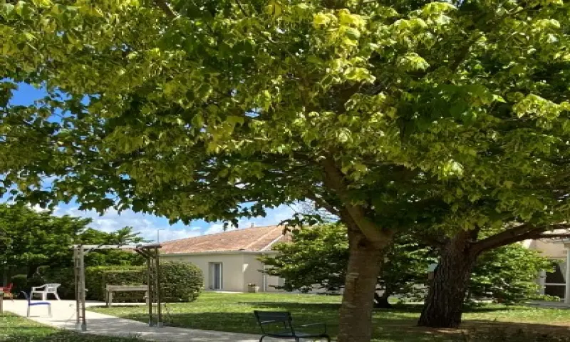 Vue du programme à Saint Sulpice De Royan