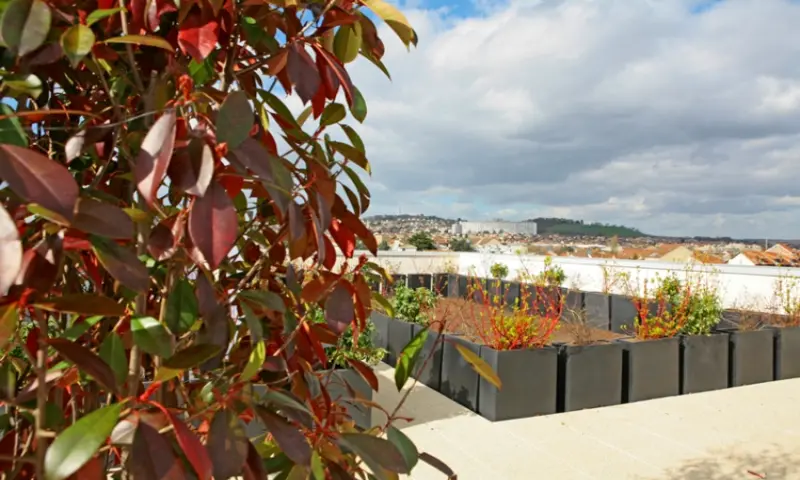 Vue du programme à Argenteuil