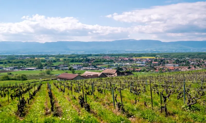 Vue du programme à Loisin