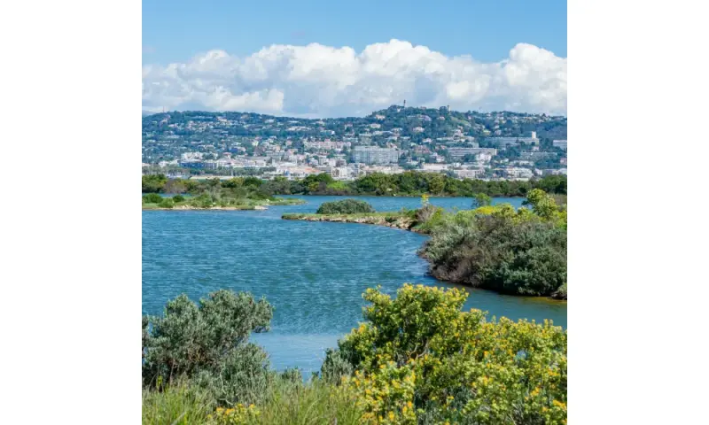 Vue du programme à Sainte Marguerite