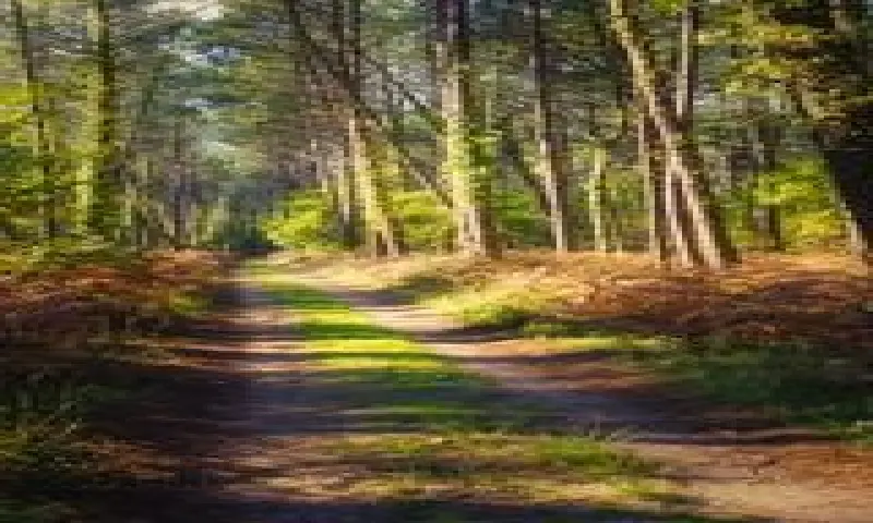 Vue du programme à Messanges